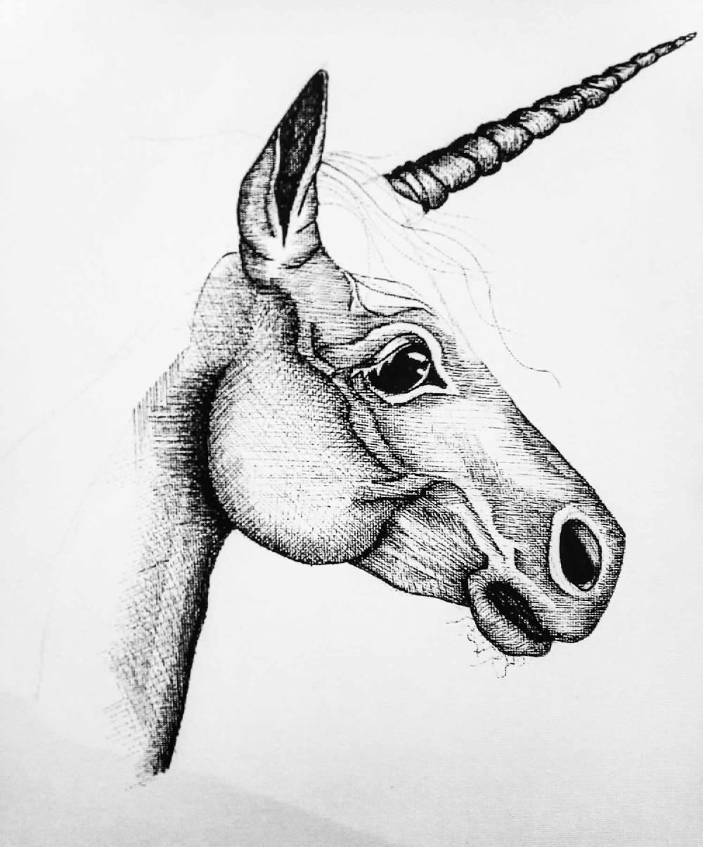 dessin-licorne